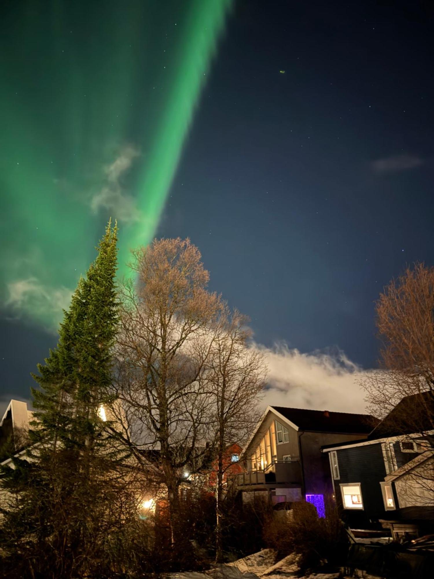 Luxury Apartment Vip Northern Lights Trip Tromso Exterior photo